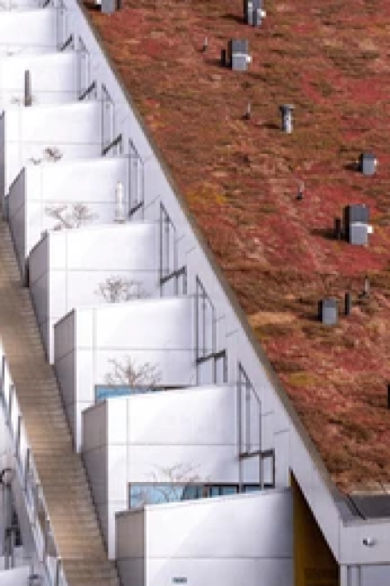 Eco-friendly roofing visuals